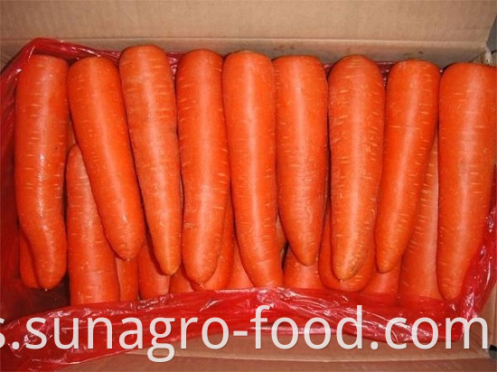 High Quality Dig Carrots